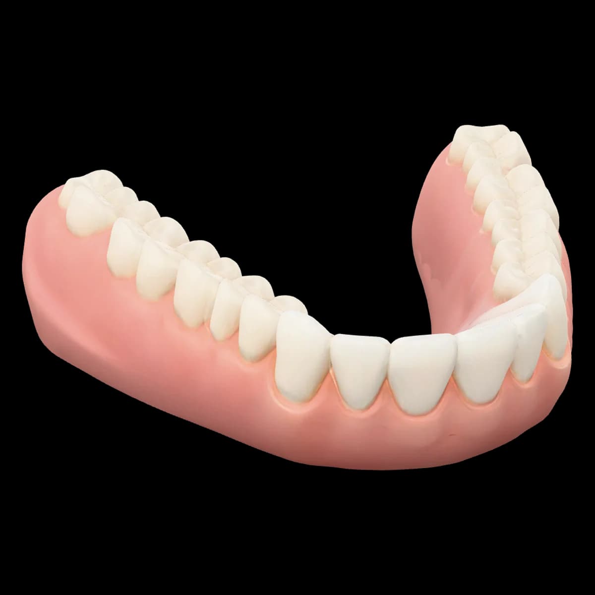 Modèle 3D d'une arcade dentaire — quatorze dents dans la gencive — avec quatre repères de soins