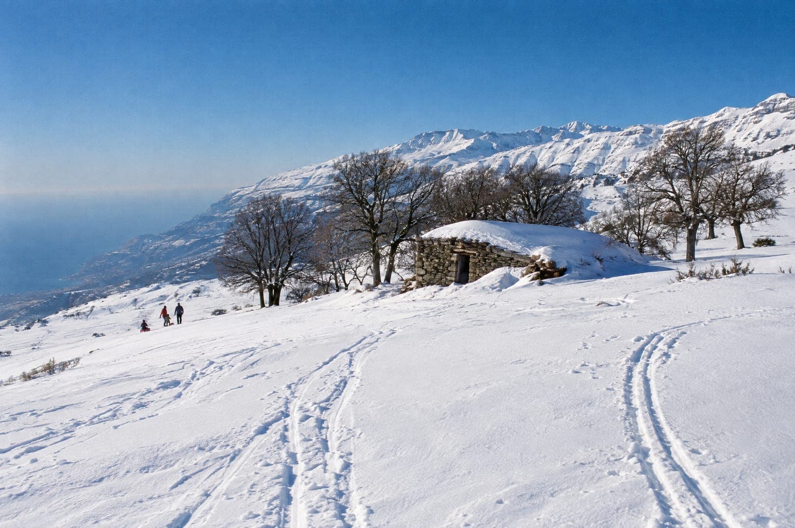Laklouk's snow